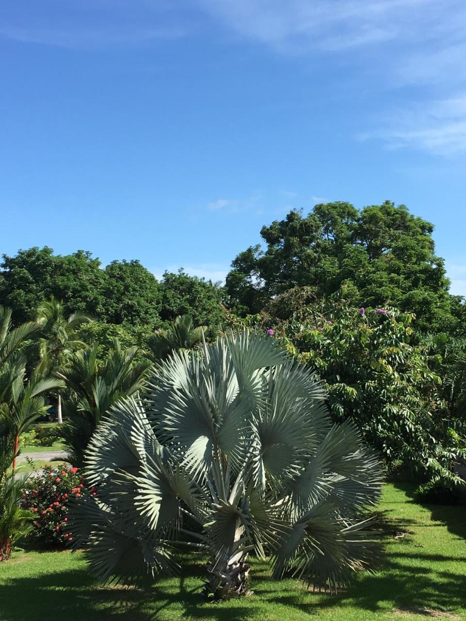 Hotel Los Higuerones Paso Canoas Екстер'єр фото